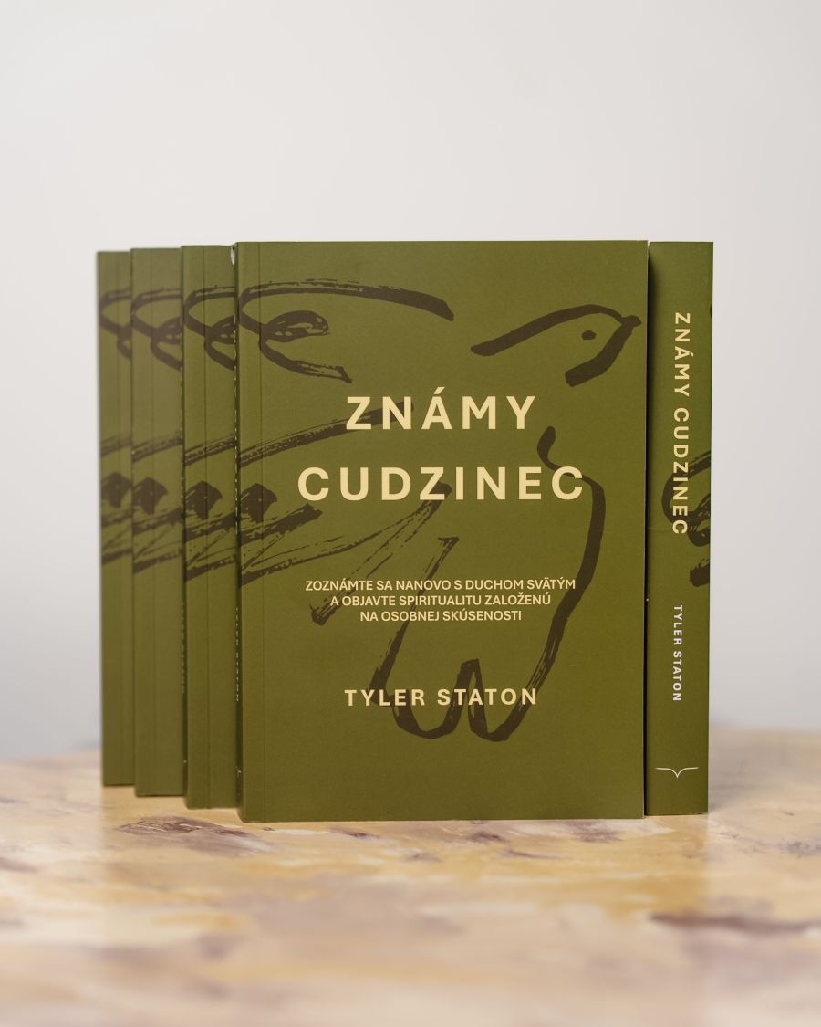 Známy cudzinec - Tyler Staton