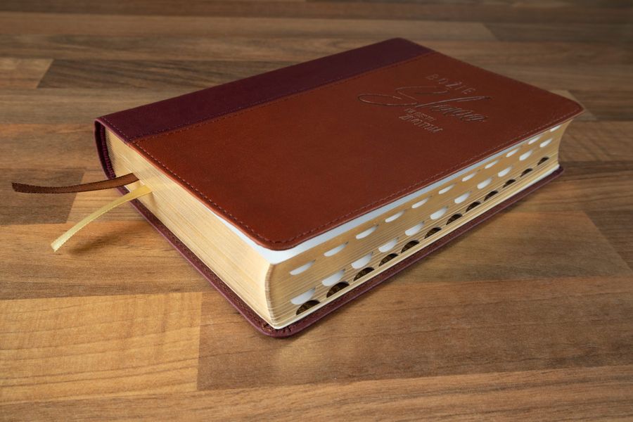 Biblia s DT | ekumenický preklad 2025 - dvojfarebná