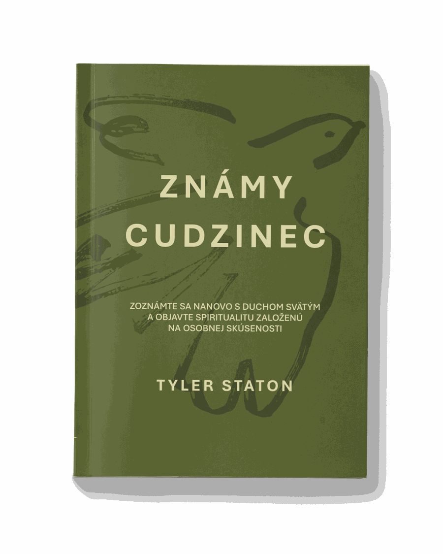 Známy cudzinec - Tyler Staton
