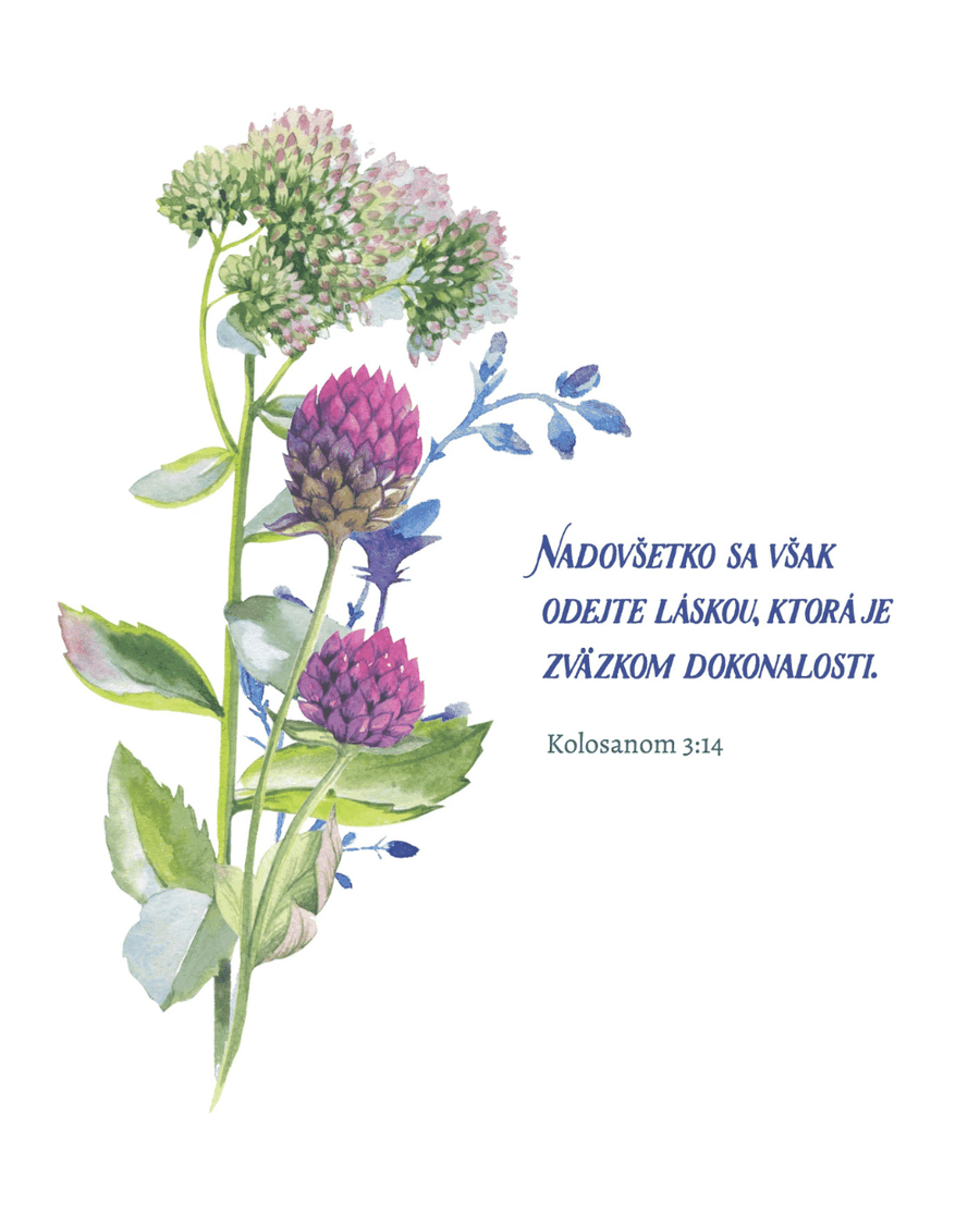 KOLOSANOM 3:14 - pohľadnica | Heavenly Paper