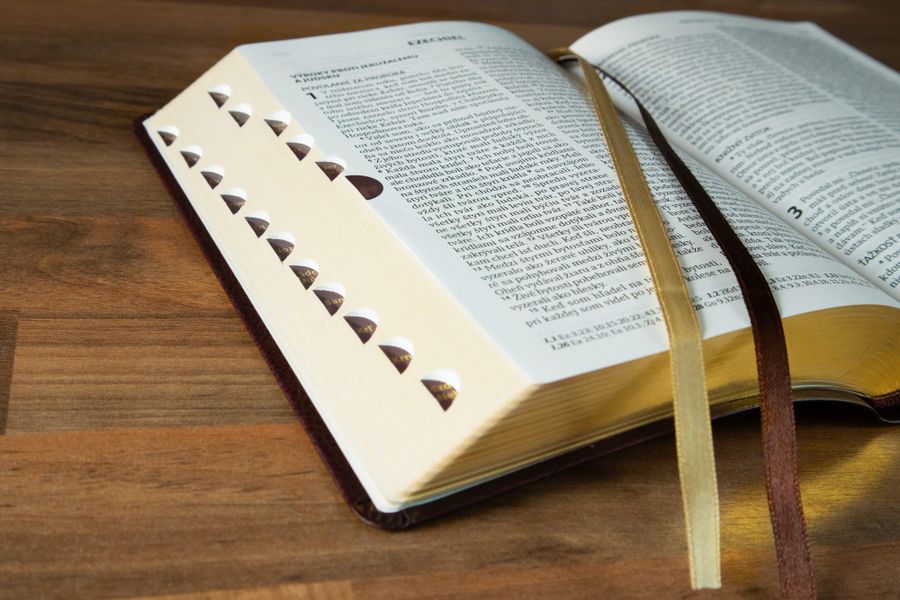 Biblia s DT | ekumenický preklad 2025 - dvojfarebná